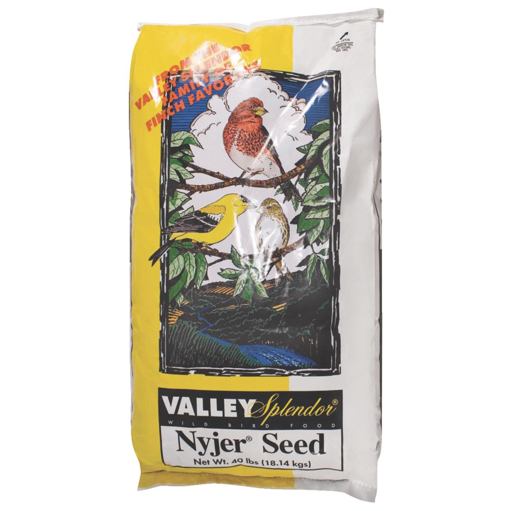 Valley Splendor Nyjer Wild Bird Seed