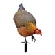 thumbnail image 3 of Figura decorativa de gallina para jardín, figura de animal, figura decorativa, arte de jardín realista Estilo C, 3 of 9