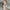 White, variant on Women Dresses Plus Sexy Sling Shoulder strap Dresses Printed Strapless Sleeveless Fashion Dresses White Trendy Skirt Size XL