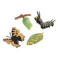 thumbnail image 3 of Juego de crecimiento de insectos para niños Sunnimix Naturaleza de simulación, 3 of 8