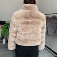 thumbnail image 2 of Abrigo de piel sintética para mujer, chaqueta cálida de alta calidad con cuello levantado, moda de invierno, novedad de 2024, 2 of 5