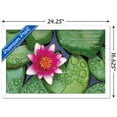 thumbnail image 3 of Zen - Lily Pads Wall Poster, 14.725" x 22.375", Framed, 3 of 3