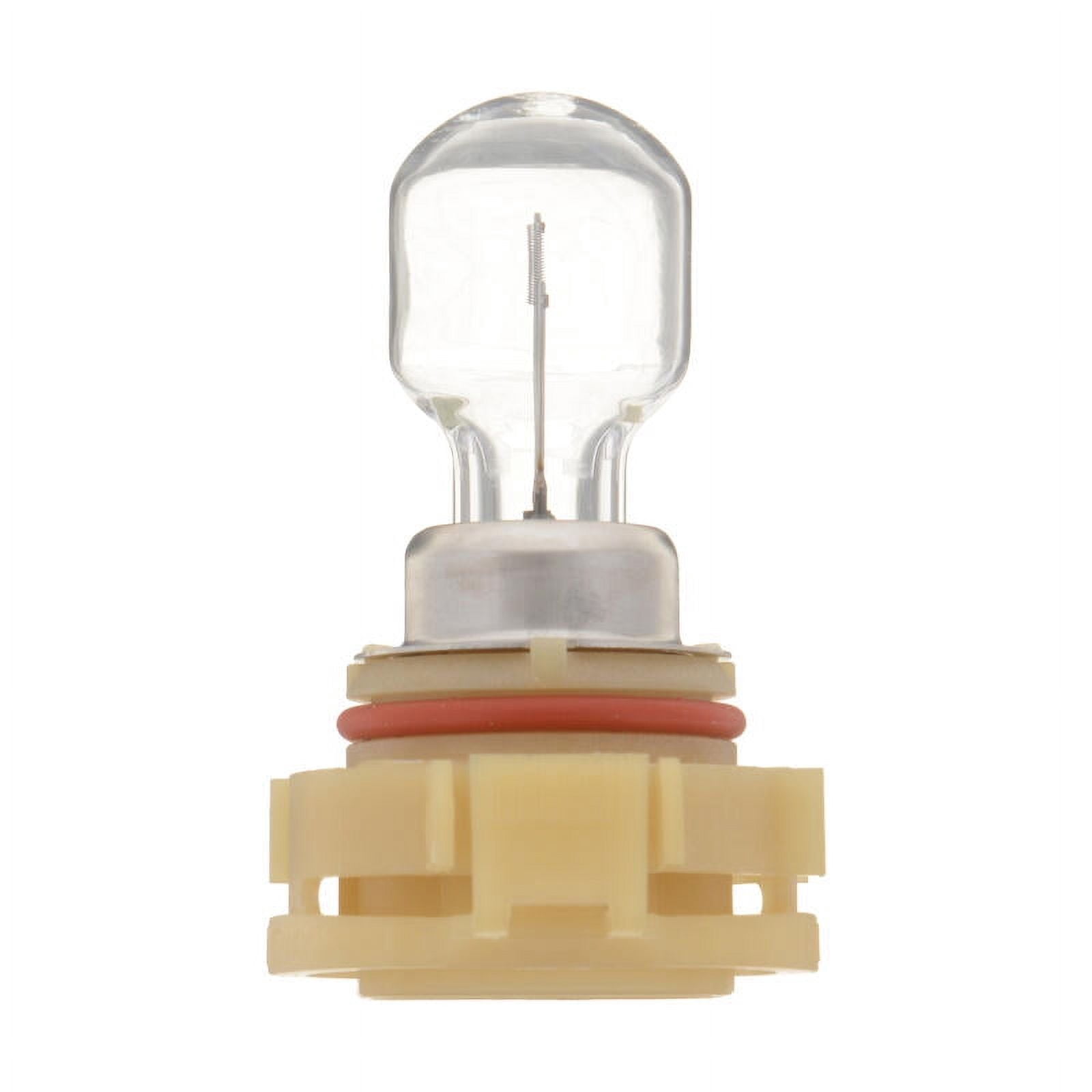 Philips Clear Halogen Fog Lamp Automotive Bulb