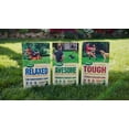 thumbnail image 4 of Scotts Turf Builder TOUGH Lawn Seed Blend - 1.4kg, 4 of 4