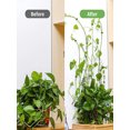 thumbnail image 2 of Vina cultivo planta Vines Fijar hebilla fija Clips pared la 10 piezas autoadhesivas Multi-Propósito para jardín al aire libre, 2 of 9