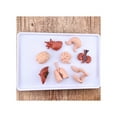 thumbnail image 5 of Safari Ltd. Human Organs TOOB - 8 Mini Figurines Including Brain, Heart, Lungs, Liver, Kidneys, Stomach, and Intestines - Anatomy Educational Toy Figures for Boys, Girls & Kids Ages 3+, 5 of 5