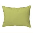 thumbnail image 2 of Betsy Drake SN038 Turtle & Berries Pillow, 11" x14", 2 of 2