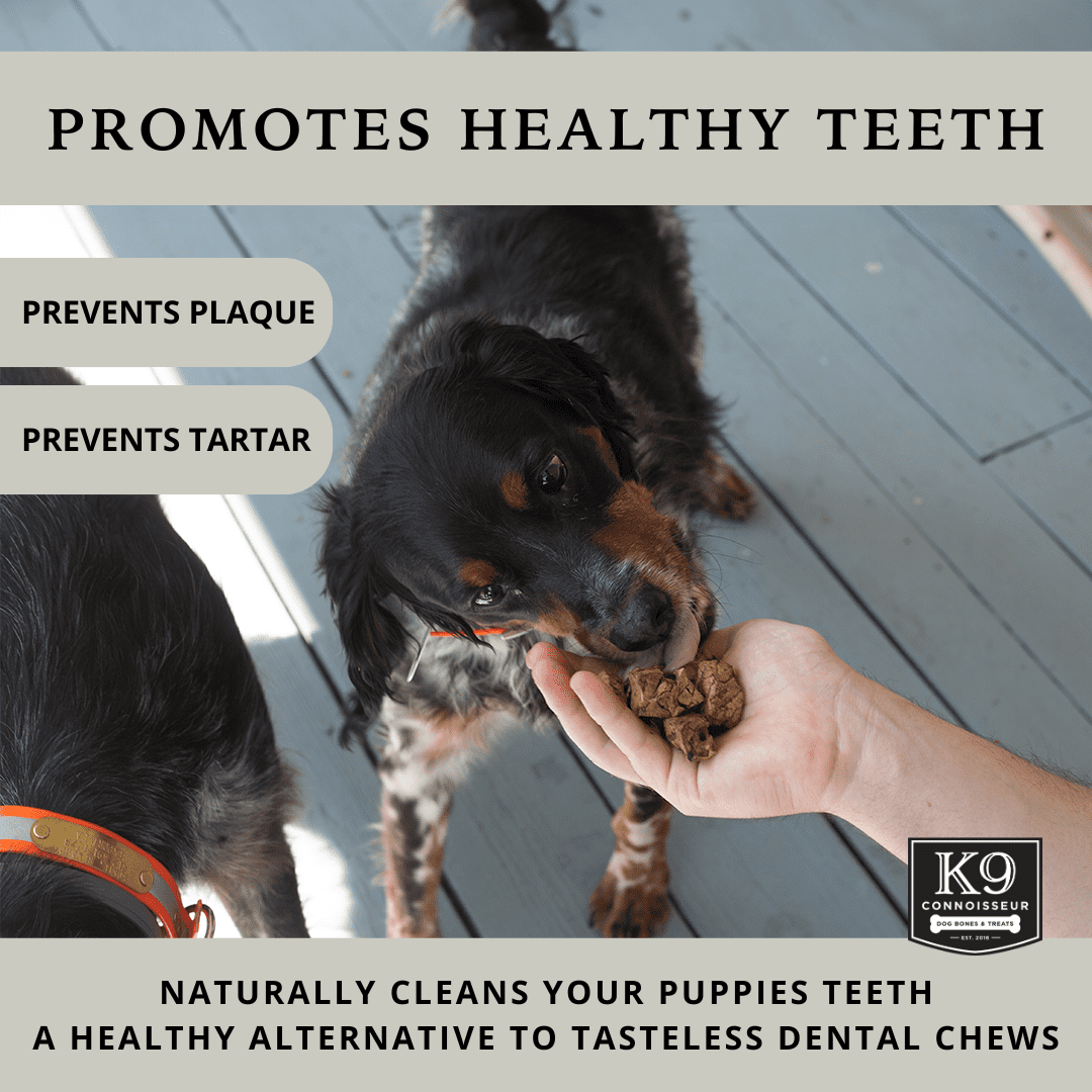 K9 Connoisseur Beef Lung Bites Dog Treats - Made in USA, One Ingredient Dog Treats & All Natural Dog Treats, Grain Free Dog Treats for All Breeds & Sizes - 2.5 Pounds