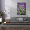 thumbnail image 4 of Epic Graffiti 'Blue Violet Lupine Flower' by Cora Niele, Canvas Wall Art, 40"x60", 4 of 8