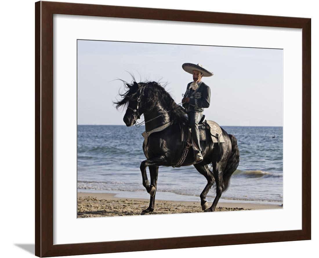 coast black walker dress