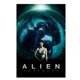 thumbnail image 3 of Póster de película de terror retro ALIEN COVENANT, cuadro clásico, impresión en lienzo, arte de pared, imágenes para sala de estar, decoración artística para el hogar, 3 of 5