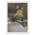 thumbnail image 1 of Nyan Cat Kits de Pintura de Diamantes para Adultos 5D DIY Diamond Art Kits Full Drill Diamond Dots para Regalo Decoración de Pared y Relajación Artes de Gemas 20*30cm, 1 of 6