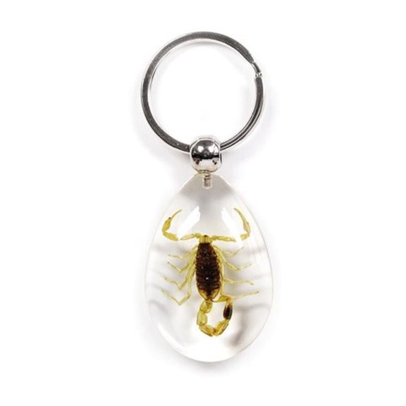 Real Bug Key Chain-Tear Drop Shape-Clear-Gold Scorpion