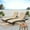 Multibrown / Textured Beige, variant on Anthony Outdoor Wicker Adjustable Chaise Lounge with Cushion, Set of 2, Multibrown and Bright Green