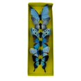 thumbnail image 2 of Regency International Fabric Butterfly Blue Set of 6 Assorted - N/A, 2 of 5