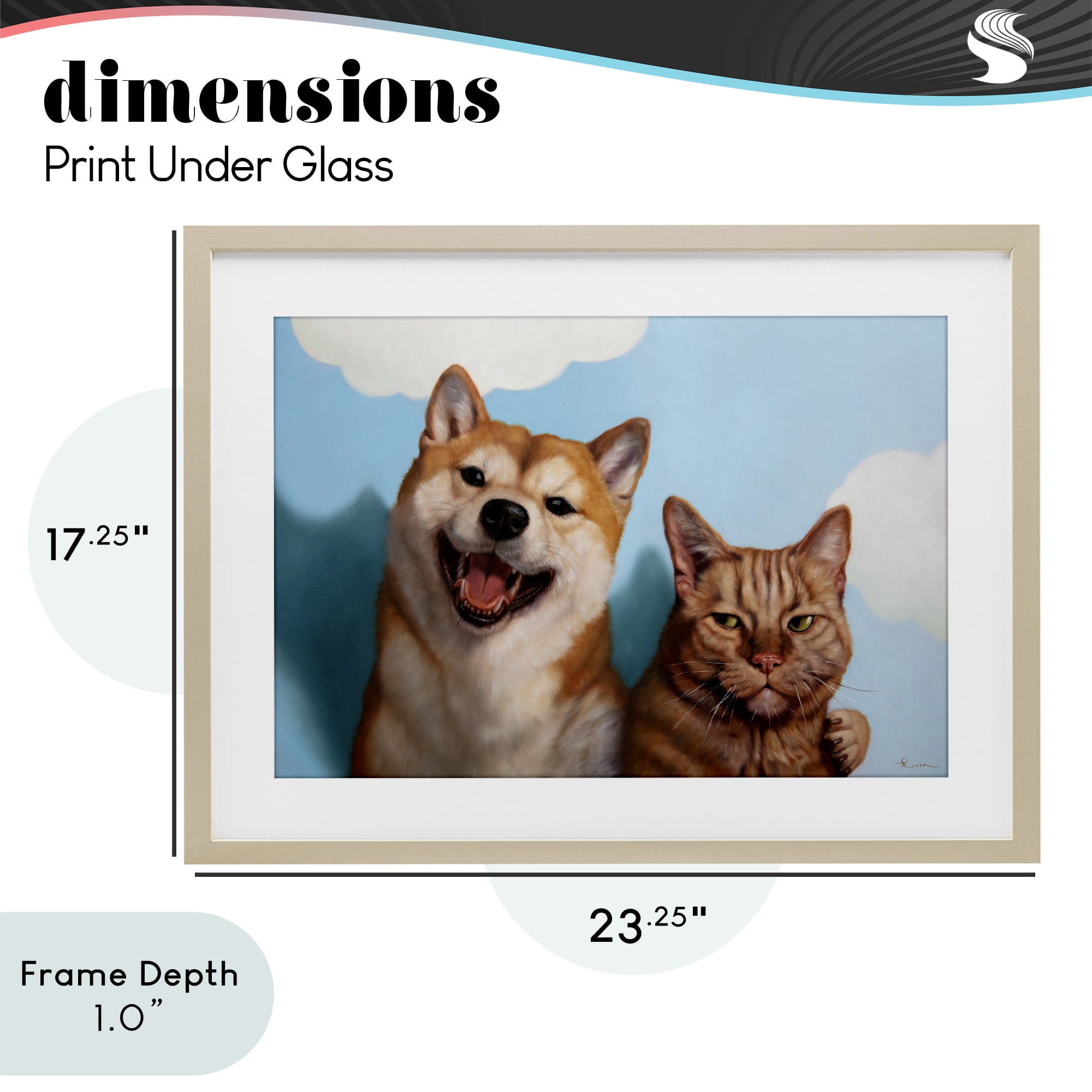 Stupell Industries Adopted Brother Dog & Cat Birch Framed Print Under Glass, design by Lucia Heffernan