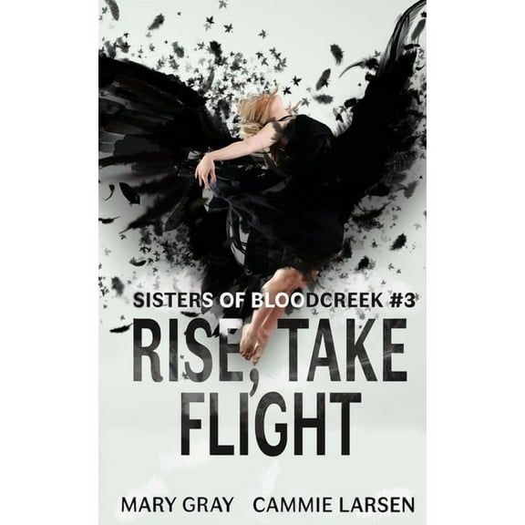 Sisters of Bloodcreek Rise, Take Flight, Book 3, (Paperback)