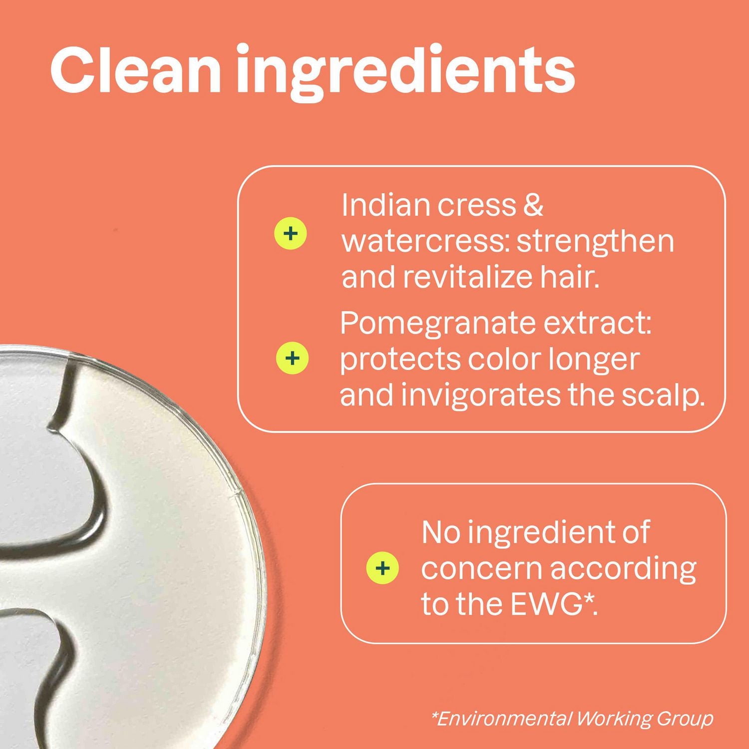 ATTITUDE super leaves, Shampoing Cheveux Colorés, Huile d'Avocat et Grenade, 473 mL