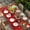 Red Green White, variant on Christmas Poinsettia Table Cloths for 8 Foot Rectangle Tables, Xmas Ball Pine Cone Berry Winter Bird Patio Waterproof Elastic Fitted Tablecloths, Washable Rectangular Table Cover for Camping