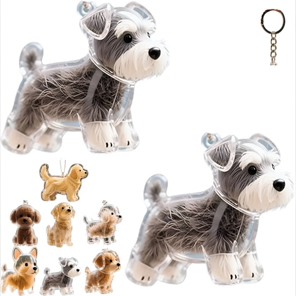 DESIGNICE 2026 New Dog Hair Collector Keychain Charm Memorial Storage Box, Transparent Cute Keychain, Pet Hair Memorial Keepsake