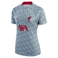 thumbnail image 2 of Women's Nike Gray Liverpool 2022/23 Pre-Match Raglan Performance Top, 2 of 3