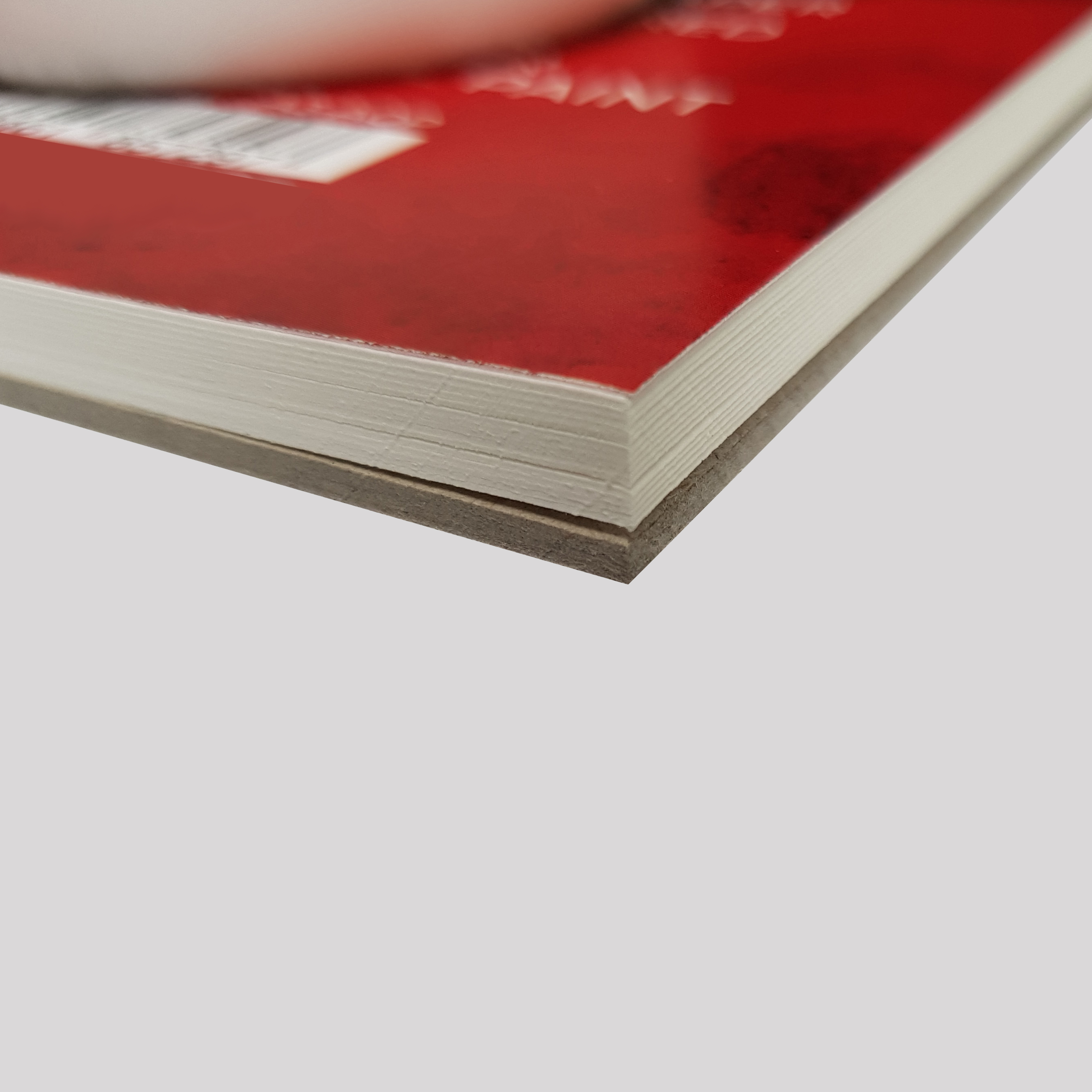 Zieler A3 Bound 16.5 x 11.7 Inch Acrylic & Oil Pad Textured 300gsm, 15 Sheets
