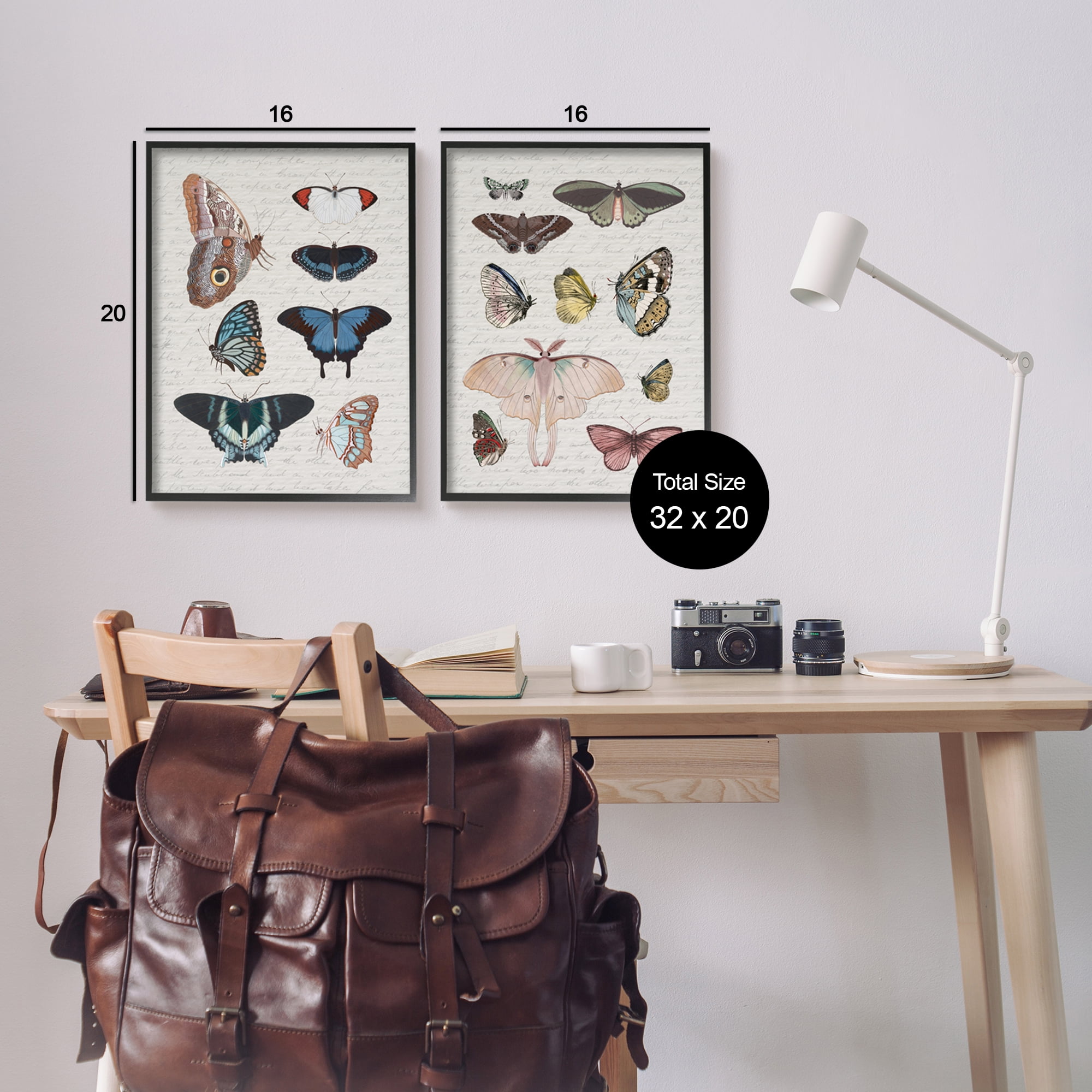 Stupell Industries Vintage Butterflies & Moths Animals & Insects Painting Black Framed Art Print Wall Art, 16 x 20