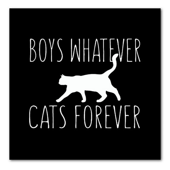 DistinctInk Custom Bumper Sticker - 6" x 6" Decorative Decal - Black Background - Boys Whatever, Cats Forever