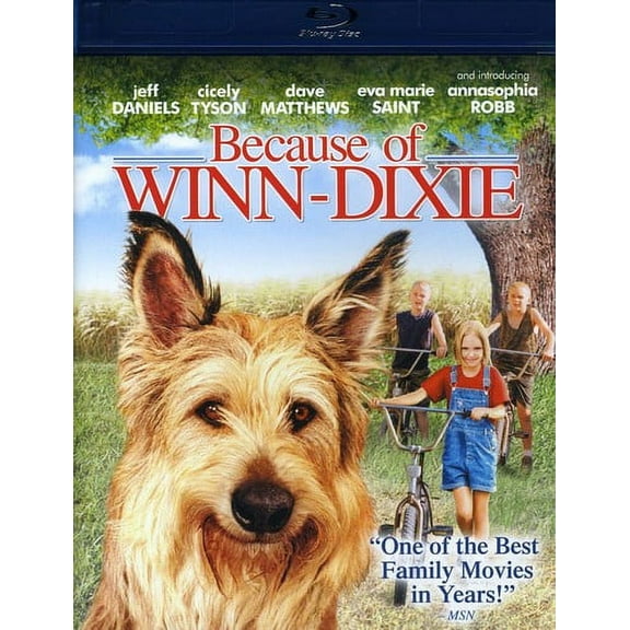 Because of Winn-Dixie