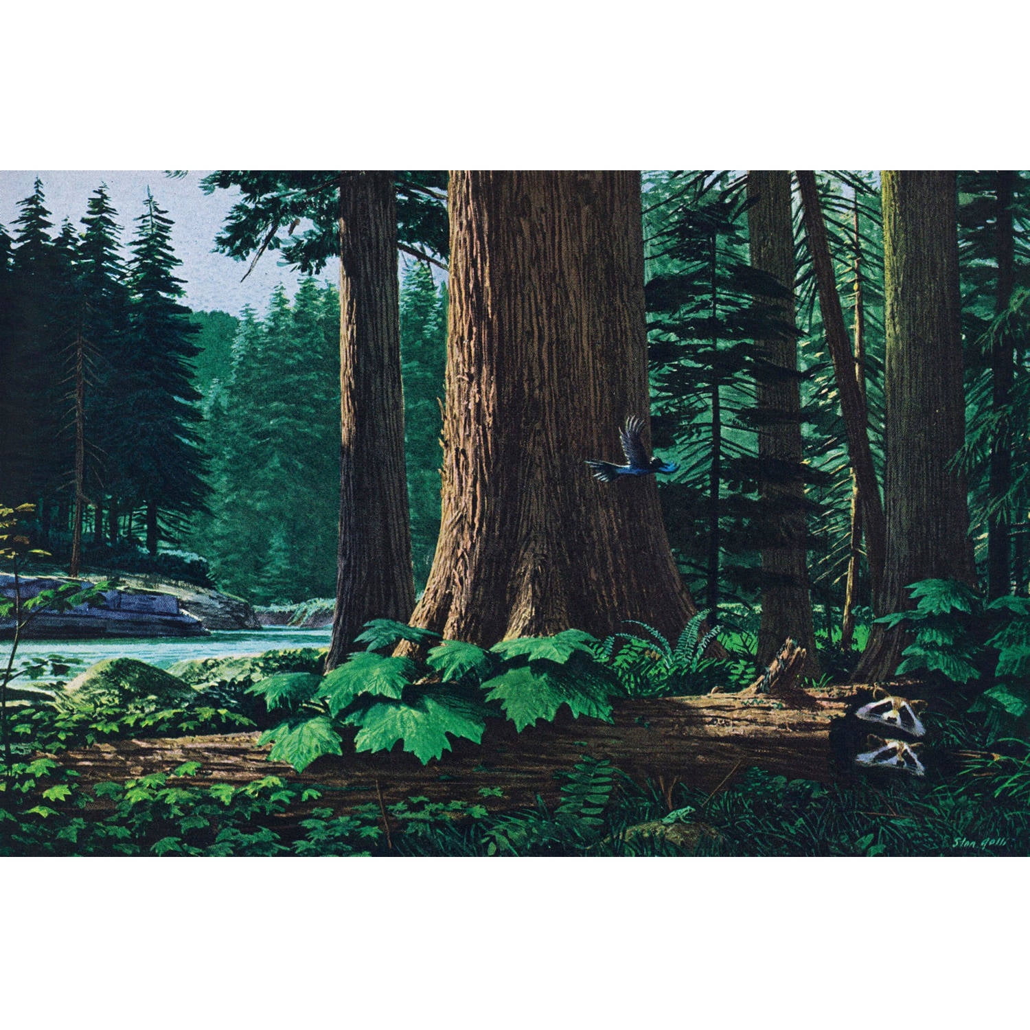 "Racoon Family" Painting Print on Wrapped Canvas