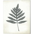 thumbnail image 3 of Great Art Now Chalkboard Fern by Sue Schlabach 2 Piece Canvas Art Set Each 12"W x 15"H, 3 of 3