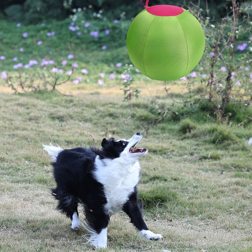AOOOWER Dog Herding Ball for Shepherds, Corgis, Collies Interactive Bouncy Toy