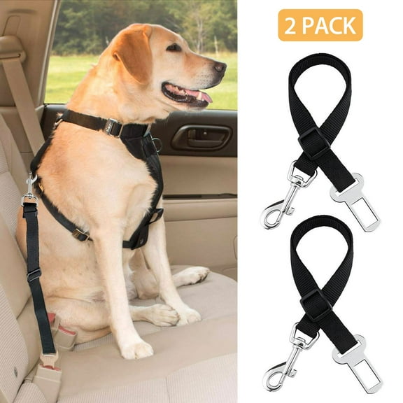 Dog Restraints