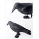 thumbnail image 5 of Cuervo negro, mata palomas, mata pájaros de plástico, control natural de plagas, protección contra pájaros molestos, 2, 5 of 5