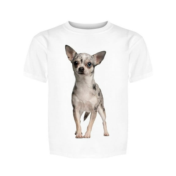 Cute Chihuahua Posing, Standing Tee Girl's -Image by Shutterstock