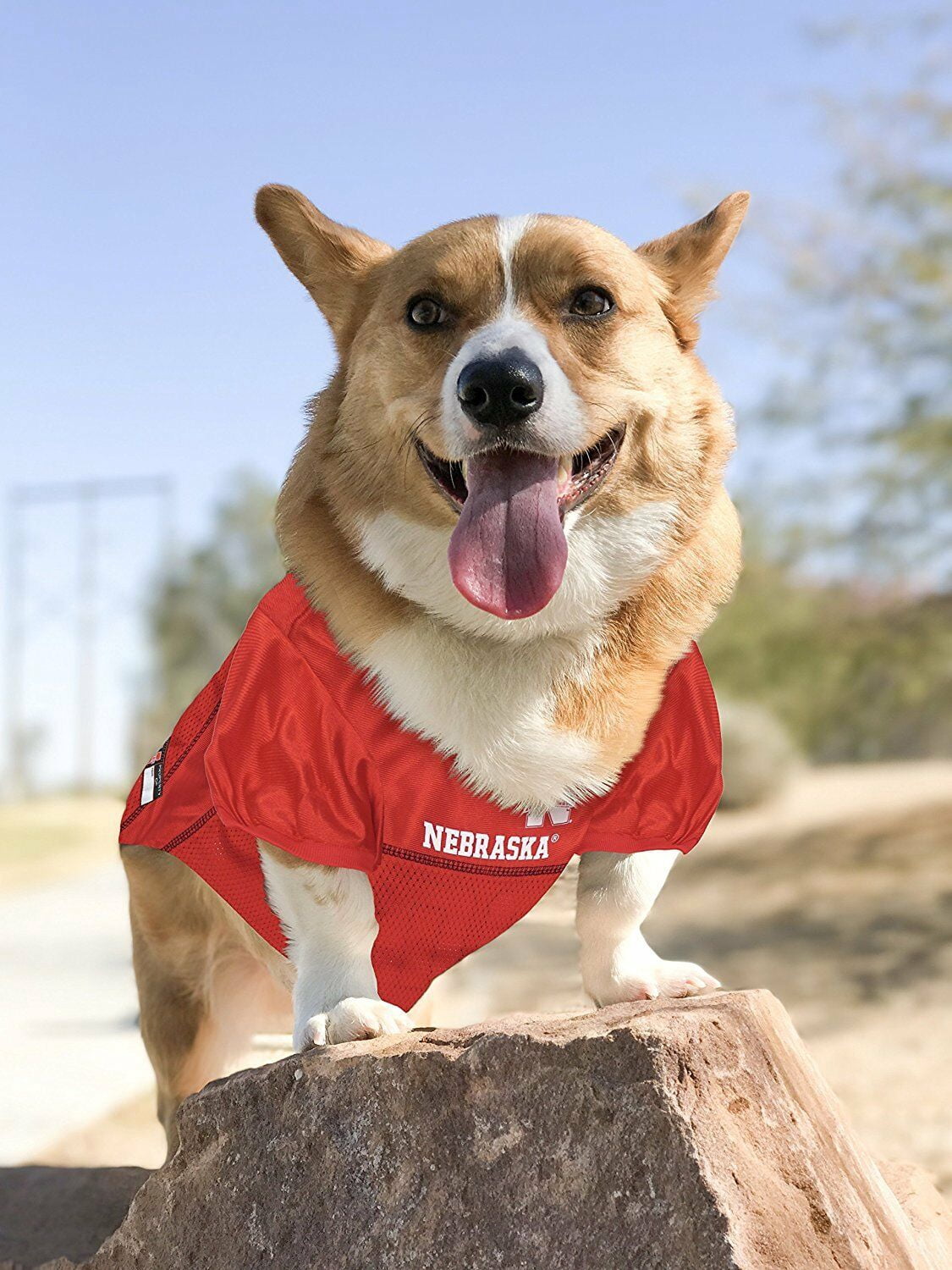Pets First Collegiate Nebraska Huskers Football/Basketball Mesh Jersey for Pet Dog. available in 40+ Teams - Extra Large
