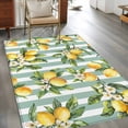 thumbnail image 3 of 3'x5' Area Rugs, Yellow Lemon Indoor Outdoor Area Rug for Living Room Bedroom, Spring Botanical Floral Leaves Aqua Stripes Washable Bathroom Rugs Kitchen Floor Carpet Mats Home Decor Aesthetic, 3 of 8