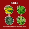 thumbnail image 2 of Spectracide Weed And Grass Foaming Edger Aerosol, For Edging Along Yards, 17 Ounces, 2 of 14
