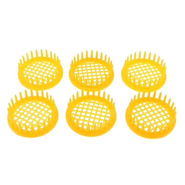 6 Pcs Redonda Jaula Complimentos Herramienta Apicultura Sharpla Aguja redonda jaula de abeja reina