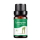 thumbnail image 1 of Clearance Aceites esenciales Elementos esenciales para el hogar Aromaterapia de aceite soluble en agua de aromaterapia adecuada para humidificador 10 ml(Buy 2 Save 10%), 1 of 6