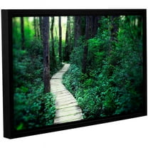 ArtWall Elena Ray "Earth Path" Gallery-wrapped Floater-framed Canvas
