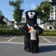 thumbnail image 3 of Disfraz inflable de mascota oso polar para cosplay, 2 m/2,6 m/3 m, muñeco de peluche gigante, panda para cosplay, 3 of 5