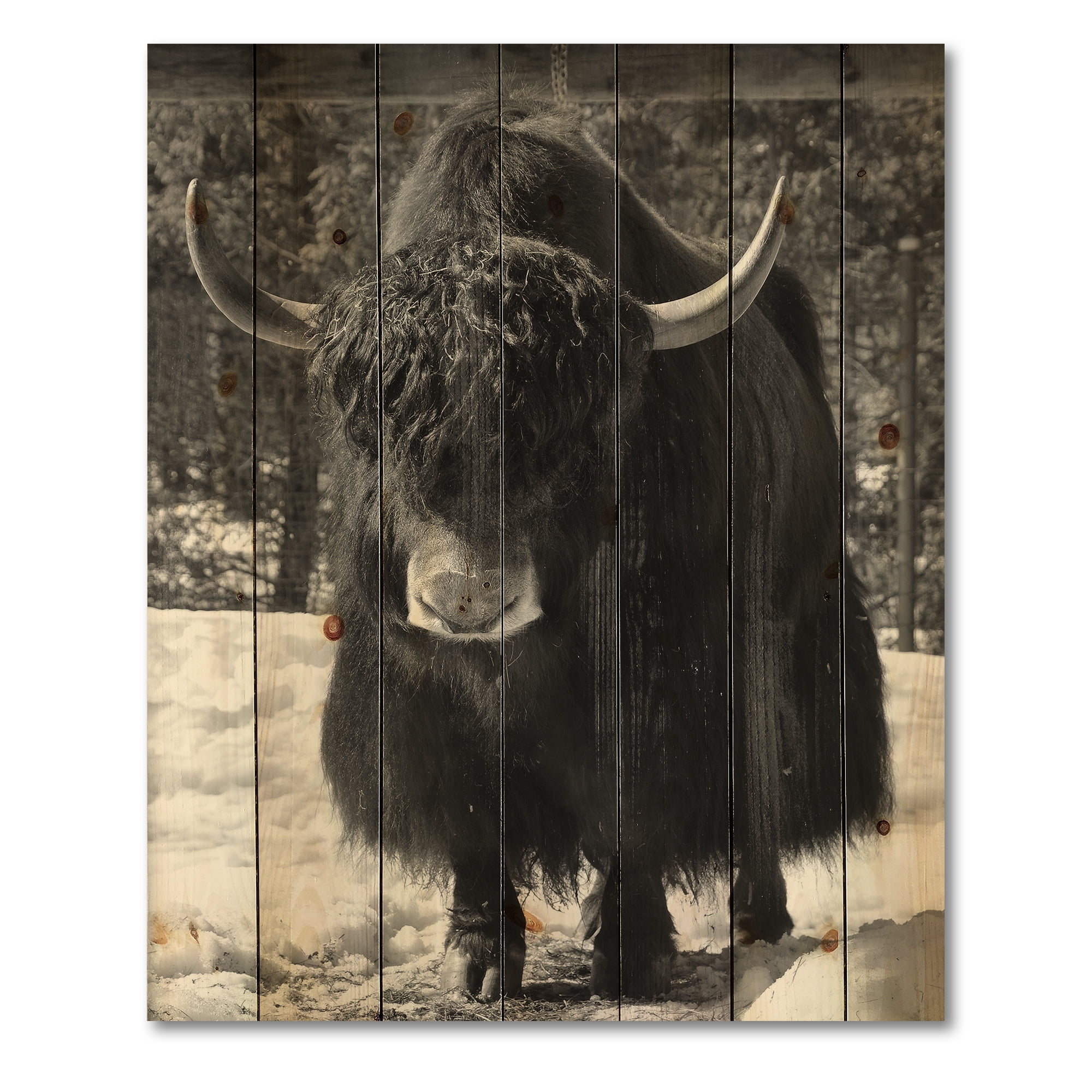 Designart 'Portrait Of Monochrome Wild Bull In Winter Forest I' Farmhouse Print on Natural Pine Wood