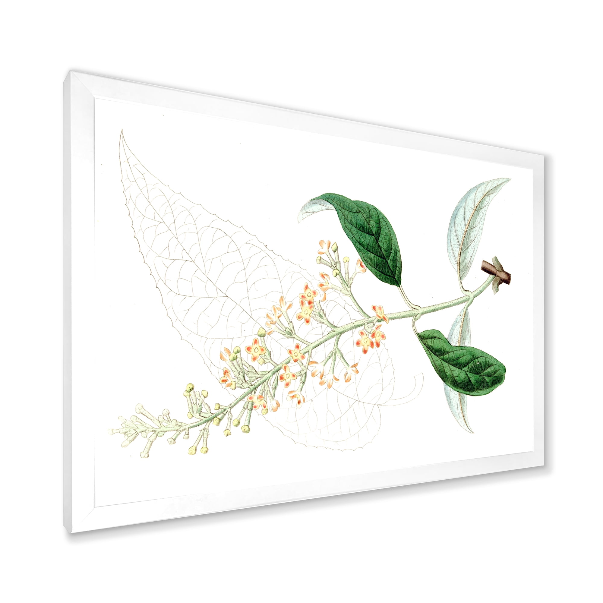 Designart 'Ancient Plant Life XXVII' Traditional Framed Art Print