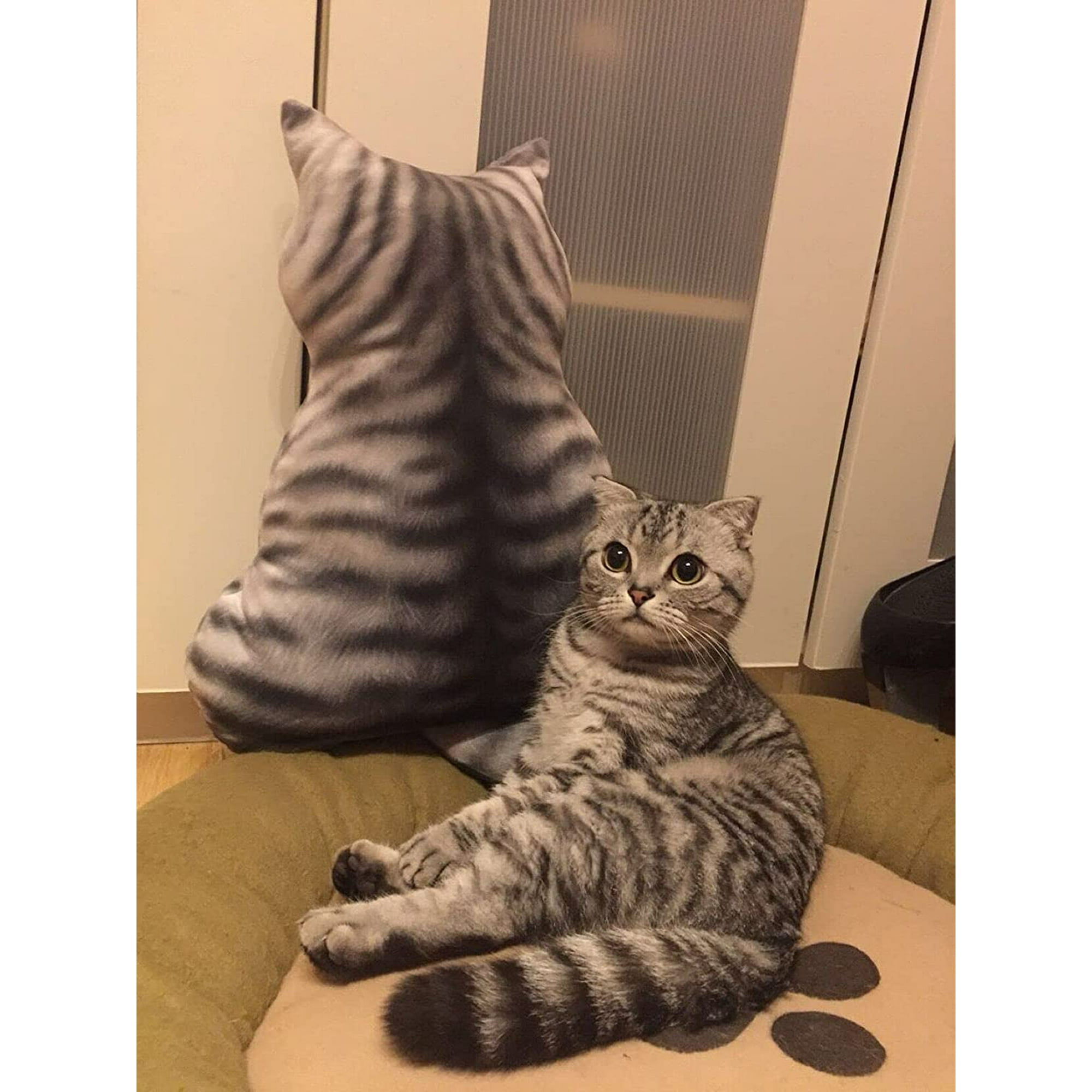 Cat Hugging Pillow 19.6