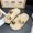 H, variant on Cartoon Indoor Anti-Slip Slipper Soft Sole Warm Home Shoes Practical Gift