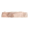 thumbnail image 3 of Zoo Med Repti Rock Food Dish, X-Large, Assorted Colors, 3 of 3