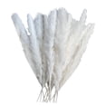 thumbnail image 4 of 10 Piezas De Decoración Seca Flores Secas Jarrones Ramo Decoración Boho Ramas, 4 of 8