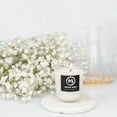 thumbnail image 2 of Meiso Suru Jasmine Candle, Soy Candles, All Natural Soy Wax Candle, Jasmin 6.5 O, 2 of 5