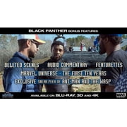 Marvels Black Panther Region Free [Blu-ray]